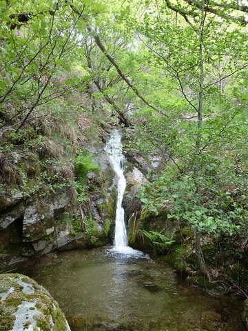 Le murmure de la Rivière